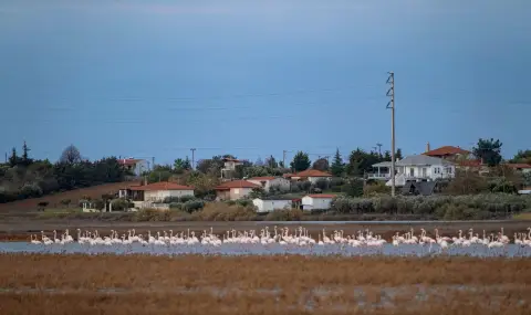 Гръцки националист: Българите и турците ни колонизират