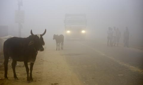 Извънредно положение в Ню Делхи заради смога - 1