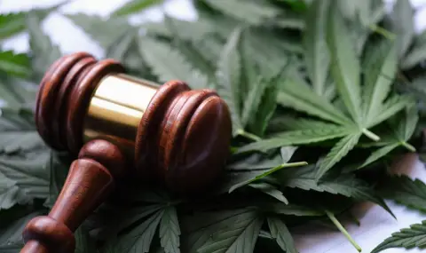 Турският парламент одобри продажбата на медицински канабис - 1