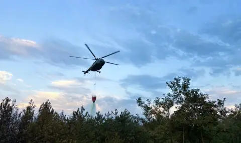 Пожар бушува между пловдивските села Скутаре и Рогош - 1