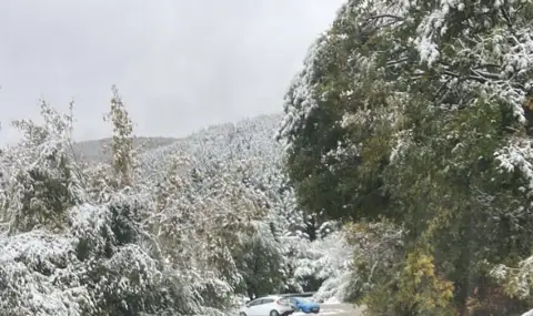 СО: Пътищата към Алеко и Златните мостове са временно затворени - 1