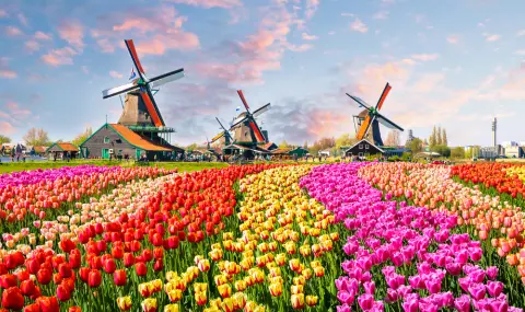 Защо Холандия стана Нидерландия? - 1