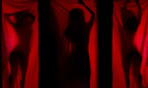 Охранител в публичен дом разказа за извращенията на най-перверзните клиенти - 1