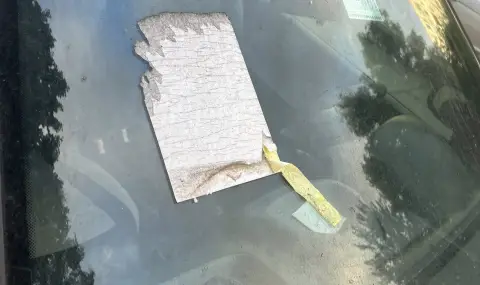 Елизабет Тодорова: Паркоместата в "Младост" – мираж! Докога ще търпим? - 1