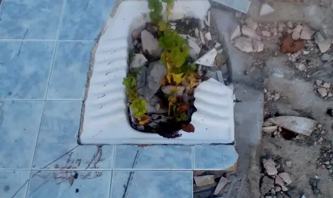 Перверзии в училище има, но протести няма. Отговорни сме за 716 000 ученици! - 1