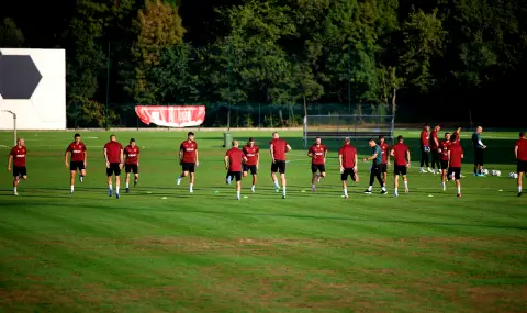 A football absurdity: according to the BFS in Bulgaria there are no people to take care of the grass cover of the stadiu - 1