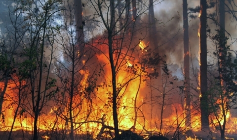 Пожар горя във вилна зона в Казанлък - 1