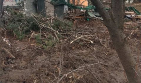 Трайчо Трайков:  Изсичането на дървета в къпалнята "Мария Луиза" е престъпление - 1