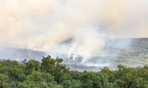 Голям пожар до Якоруда. Пет екипа огнеборци и горски се борят с пламъците  - 1