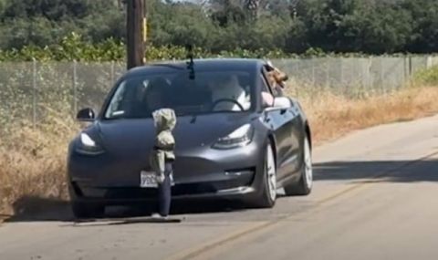 Автопилотът на Tesla обърка плюшено мече с шофьор и блъсна пешеходец (ВИДЕО) - 1
