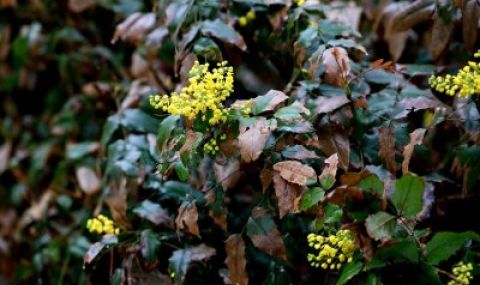 Времето днес, прогноза за вторник, 11 април: Значителни валежи в Източна България - 1
