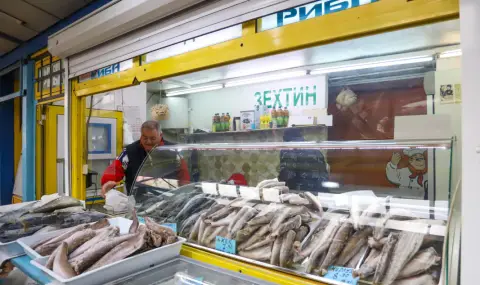 БАБХ ни успокои: Няма фрапиращи нарушения при търговците на риба, купувайте спокойно - 1