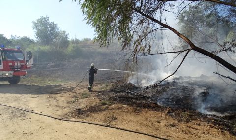 Пожар между варненските села Бенковски и Здравец, над 100 души борят стихията  - 1