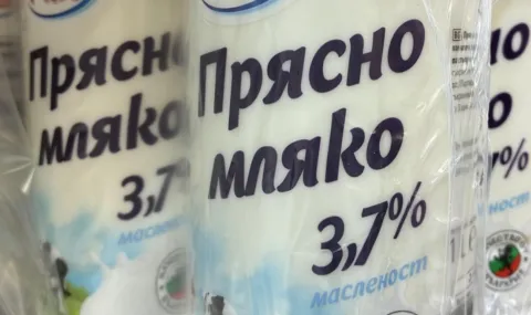 Фермер: Давам овчето мляко на ишлеме и продавам сирене - 1