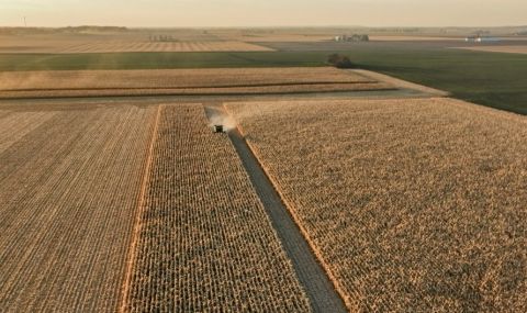 Ердоган коментира зърнената сделка - 1