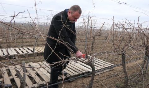 Иван Иванов: Предстои мащабна инвестиция в българското земеделие - 1
