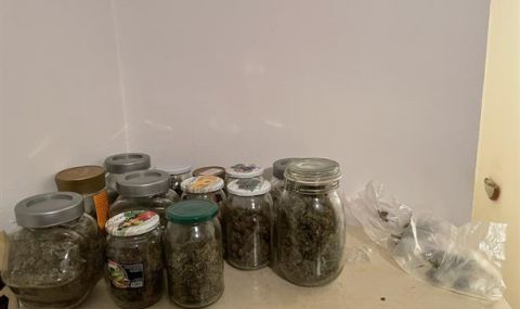 Разкриха домашна оранжерия за марихуана в София - 1