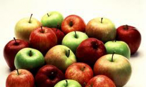 Спряха вноса на 22 тона ябълки от Македония - 1
