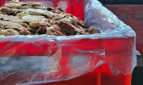 New black record! BFSA seizes 36 tons of unfit food near Plovdiv  - 1