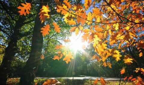 Температурите продължават да се покачват - 1