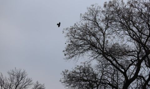 Прогноза за времето днес, 22 февруари: Променлива облачност, вятърът отслабва - 1