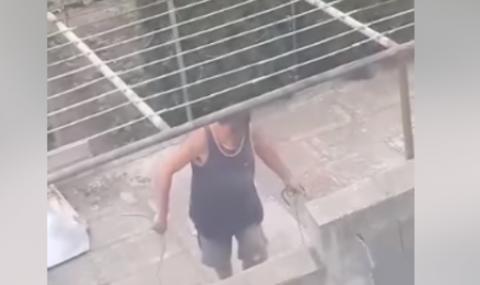 Садист от Бургас смазва от бой кучето си, съседи искат арест (ВИДЕО) - 1