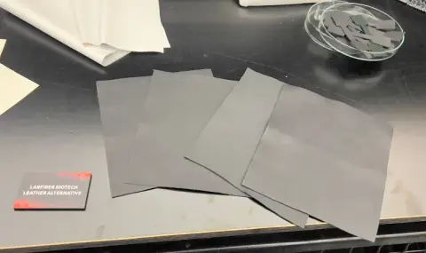 Новите интериори на Mercedes ще са направени от използвани състезателни гуми  - 1