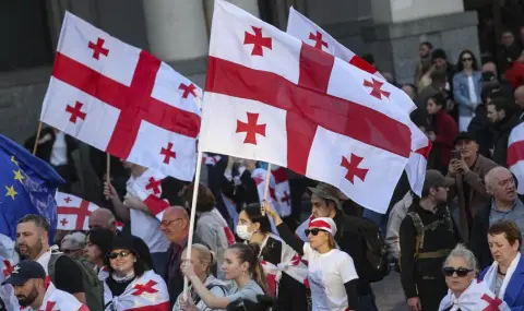 Протестиращи щурмуваха двора на президентската резиденция в Тбилиси - 1