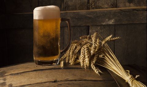 Учени намериха начин да подобрят вкуса на бирата - 1