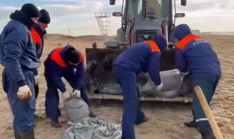 Десетки делфини са мъртви след сблъсъка на руските петролни танкери в Керченския проток (ВИДЕО) - 1