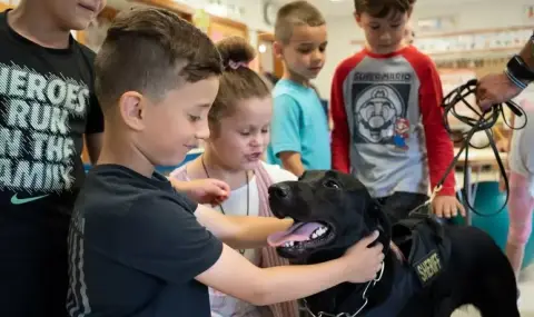 Полицията в Дубай организира курсове за ученици - 1