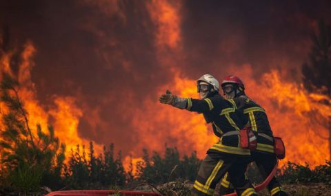 Горските пожари във Франция и Италия продължават да се разрастват  - 1
