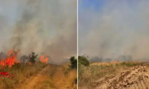 Пожар край Асеновград, затвориха пътя към Кърджали - 1