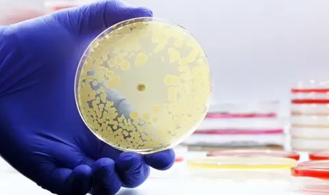 When Antibiotics No Longer Work Against Dangerous Germs  - 1