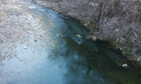 Задържаха виновниците за замърсяването на реките Чепеларска и Юговска - 1