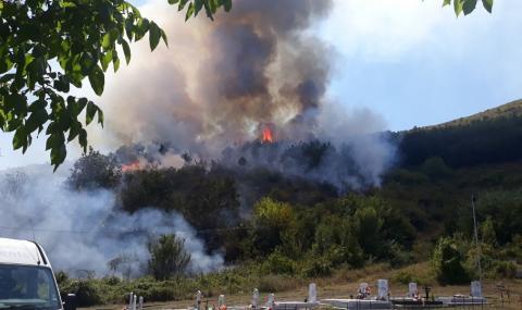Дете запалило горския пожар край Девин - 1