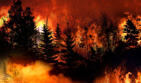 Армията се включва в гасенето на пожари в Германия - 1