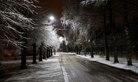 Защо в Сибир вали черен сняг - 1