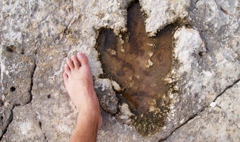 Откриха отпечатък от крак на динозавър с рекордни размери (СНИМКИ) - 1