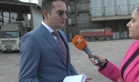 Георги Койнов: Износът на слънчоглед е сведен до минимум, заводи може да спрат работа - 1