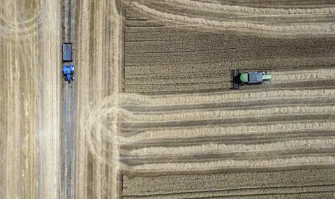 Сушата в Турция: има ли опасност от недостиг на храна? - 1