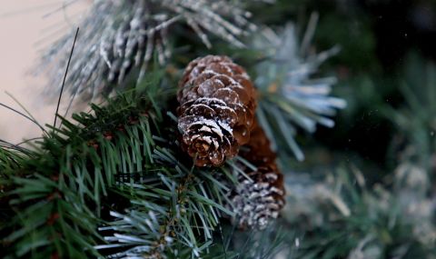 Чака ни топла новогодишна седмица - 1