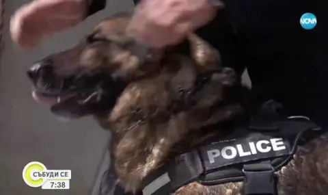 Как се обучават най-добрите следови кучета в България - 1