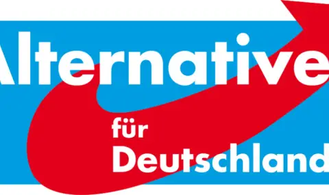 Съд в Германия подкрепи определянето на "Алтернатива за Германия" като заподозряна в екстремизъм - 1