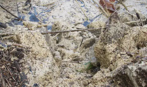 Experts from the Regional Inspectorate for Environment and Water – Sofia are investigating a report of pollution on the Iskar River  - 1