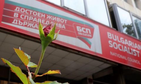 Топ социалисти от София ще спасяват организацията на БСП във Видин - 1