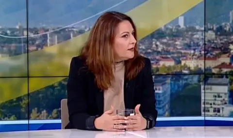Eлена Дариева: Неблагополучията на кабинета „Желязков” зачестиха от лятото насам - 1
