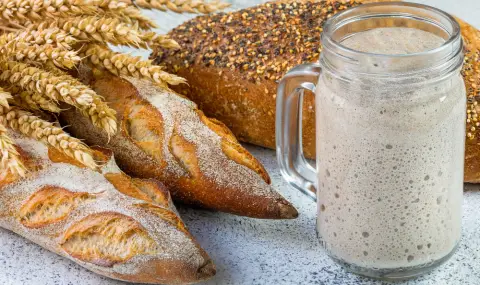 Наистина ли е вредна хлебната мая за здравето?