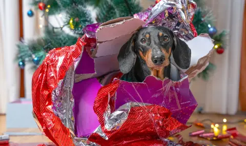 Какво не бива да подарявате за Коледа - 1