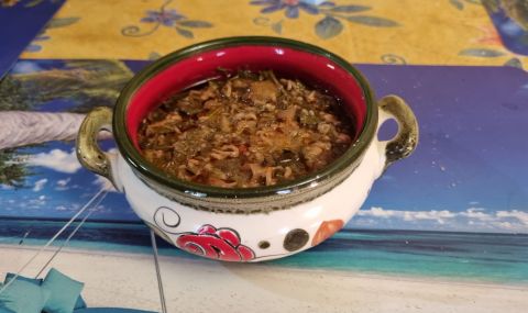 Рецепта на деня: Лятна супа от лозови листа и джанки - 1